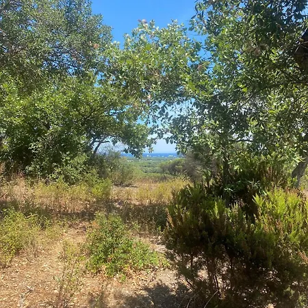 Villa Au Calme Piscine Et Vue Vignes *